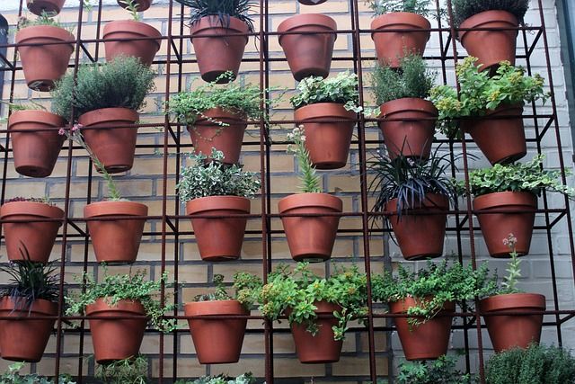 potted plants in upright structure vertical garden